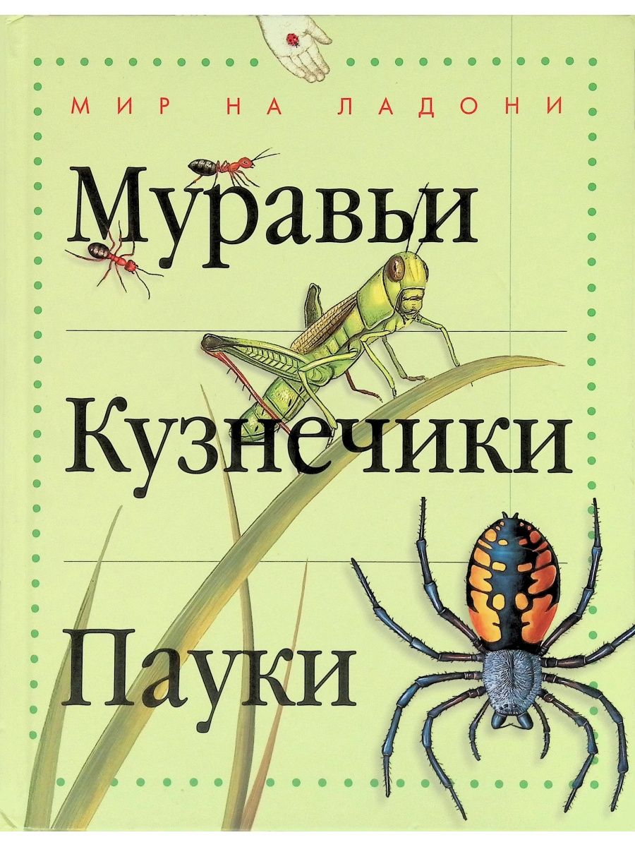 Паук книга. Книга с пауком на обложке. Детский журнал муравьи. Кузнечик на обложке книги. Летающий муравей книга.