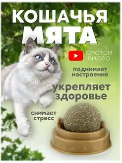 Кошачья мята для кошек, мятный шарик, леденец для кошек