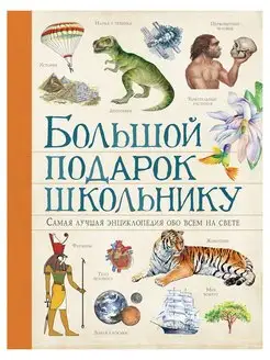 Книга Большой подарок школьнику Ачети