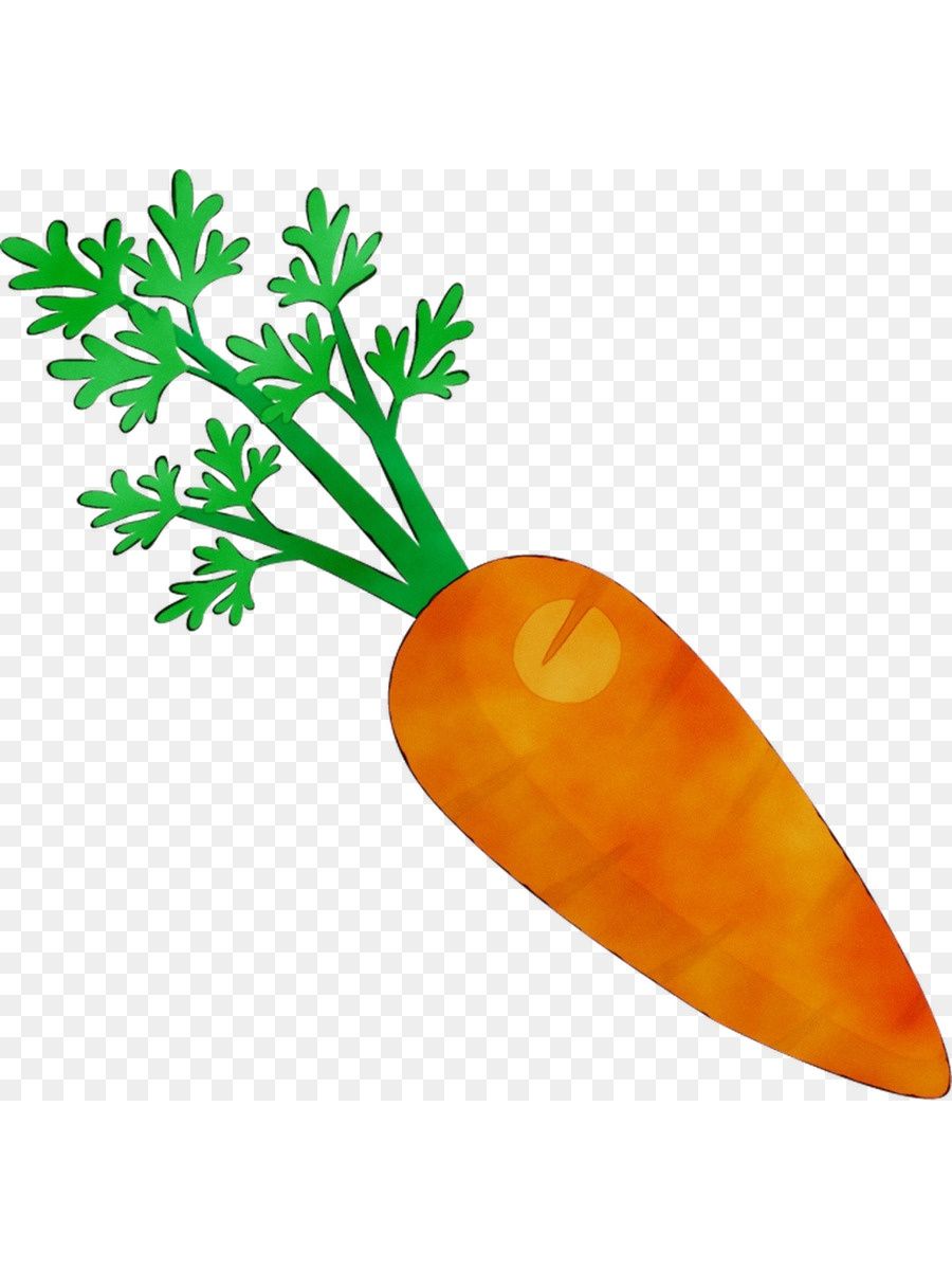Морковь без фона