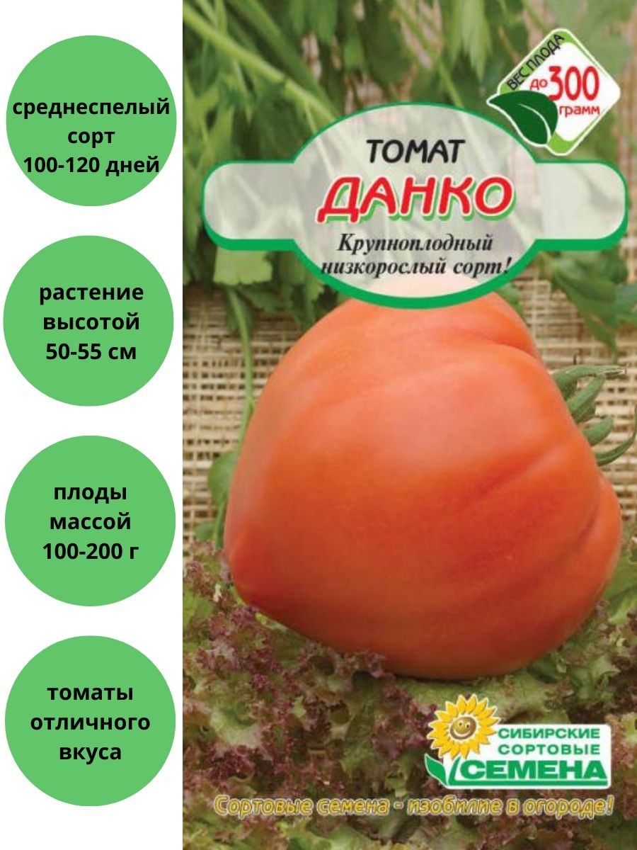 томат данко характеристика и отзывы фото