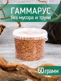 Гаммарус для черепах сушеный корм