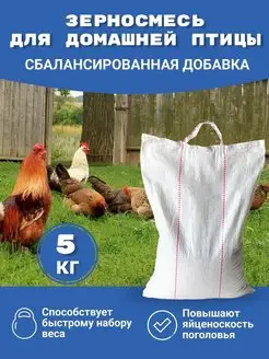 Зерносмесь для с х птицы 4 злака 5кг. Корм для животных