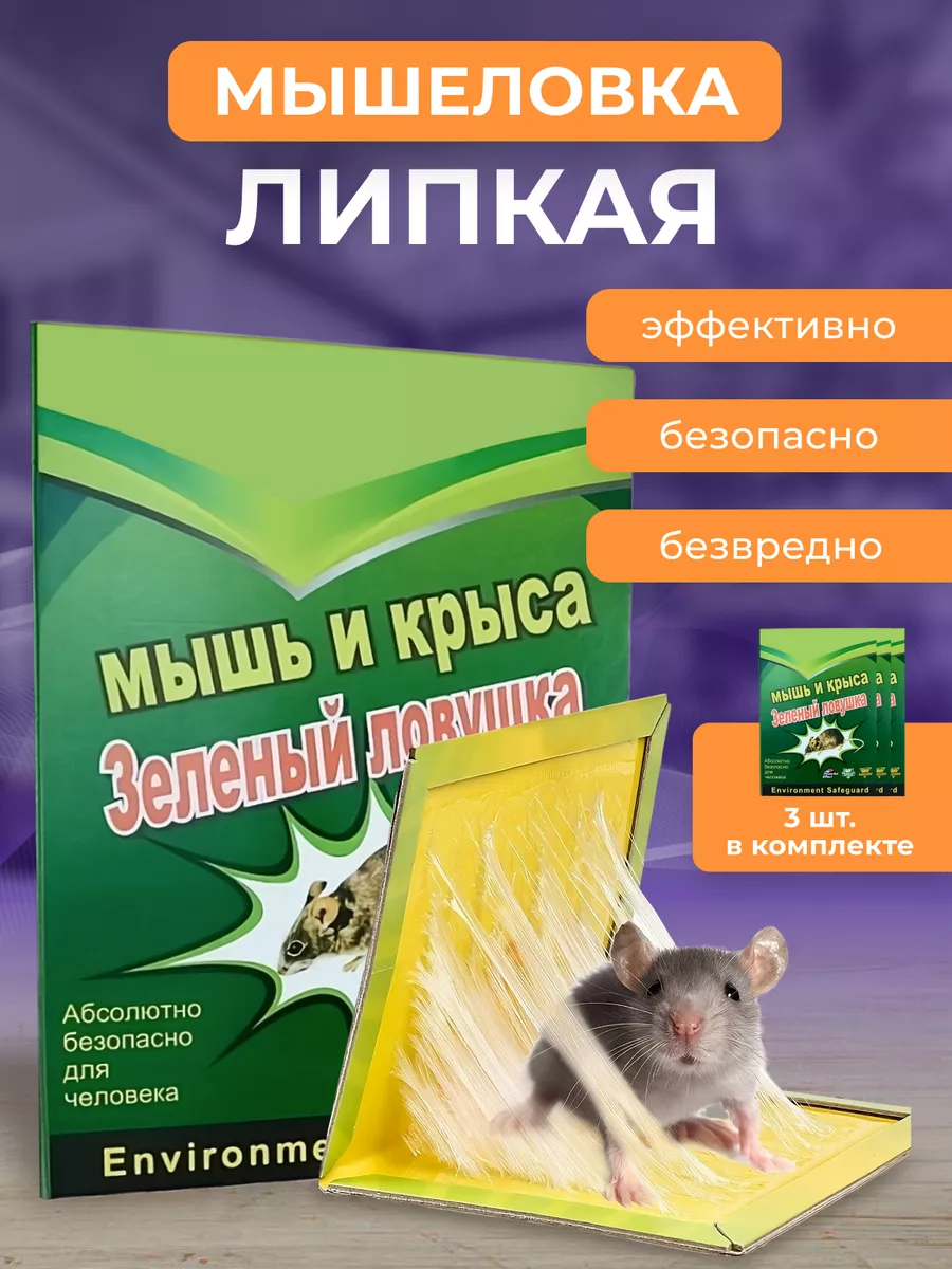 Смотреть ловушки для крыс своими руками видео бесплатно