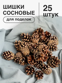 Шишки сосновые для поделок, декора, творчества 25 шт