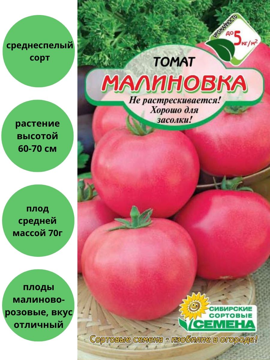Сорт томата Малиновка Башкирская