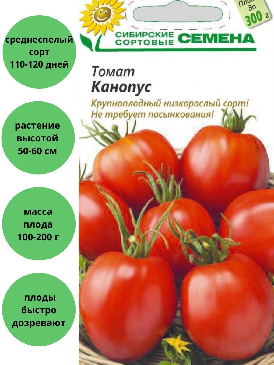 сорт томатов канопус фото и характеристика