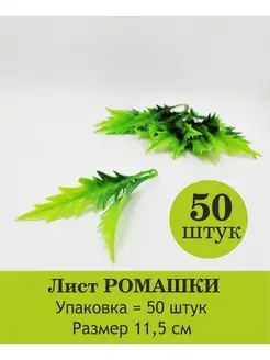 Лист ромашки фитония пиона