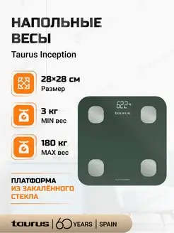 Весы напольные Inception Connect