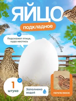 Пластиковое яйцо подкладные яйца eggs яйца белые