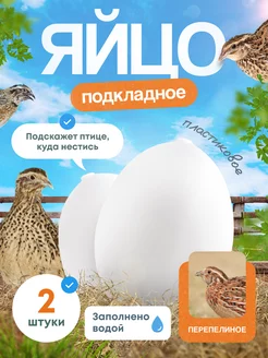 Пластиковое яйцо подкладные яйца eggs яйца белые