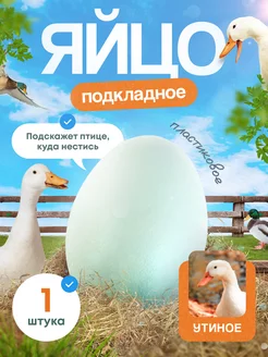 Пластиковое яйцо подкладные яйца eggs яйца белые