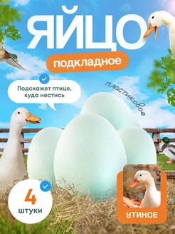 Пластиковое яйцо подкладные яйца eggs яйца белые