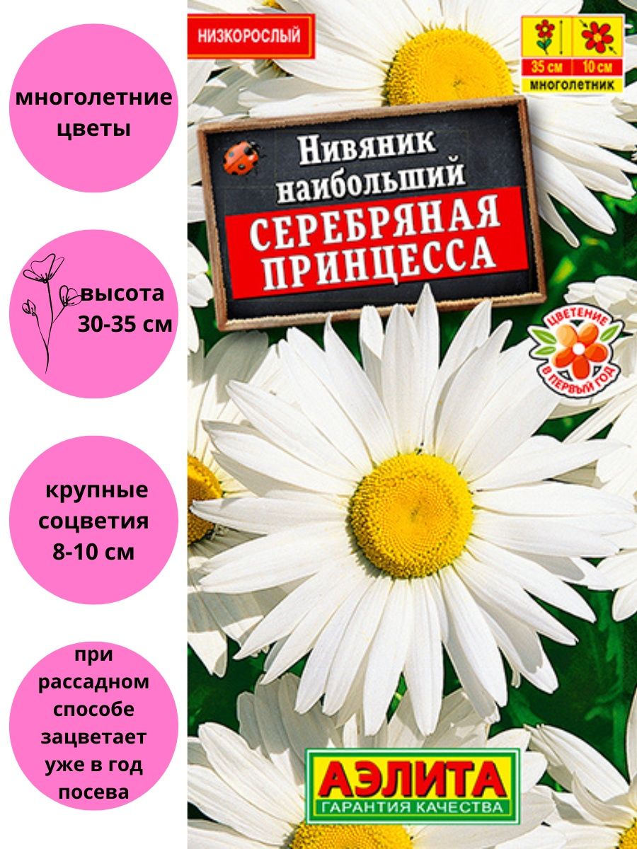 Нивяник Амелия