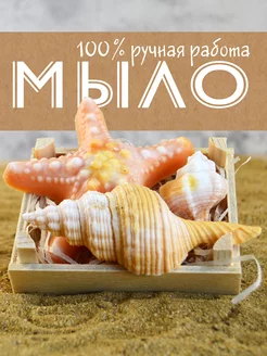 Фигурное мыло ручной работы ракушки и морская звезда