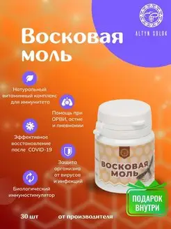 Восковая моль Огневка