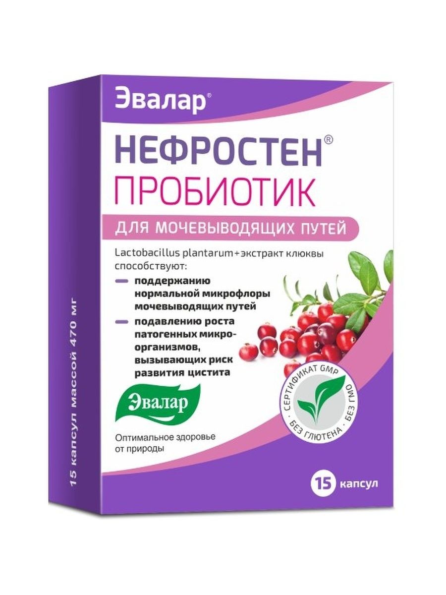 Нефростен. Нефростен пробиотик капс. №15. Нефростен пробиотик 470мг. №15 капс.. Нефростен пробиотик Эвалар №15. Нефростен чай Эвалар.