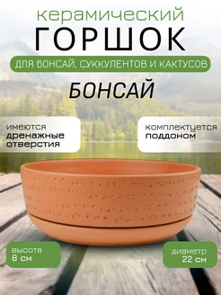 Горшок для бонсай, суккулентов и кактусов с поддоном D22см