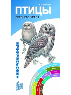 Птицы Среднего Урала. Воробьиные и неворобьиные