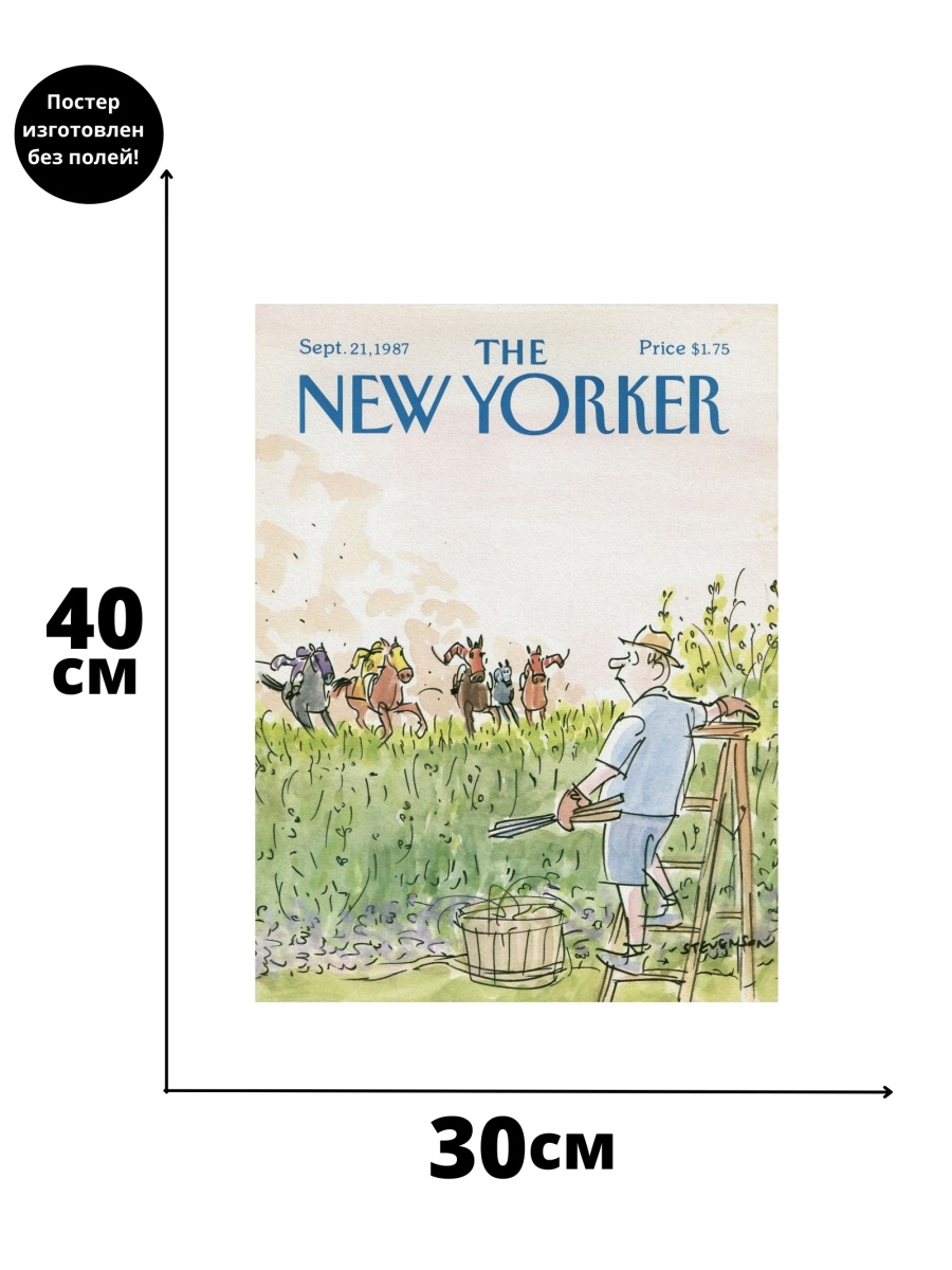 New yorker карта